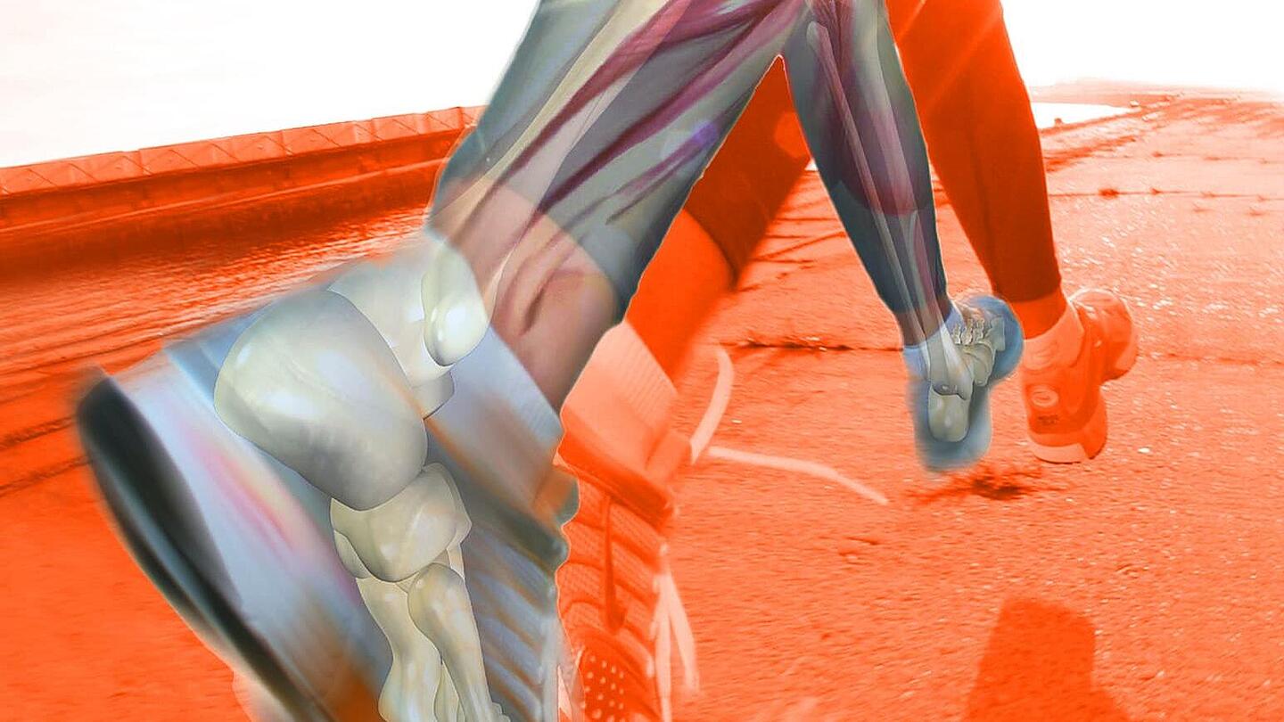 Stilisierte Person mit Muskelgruppen beim Laufen